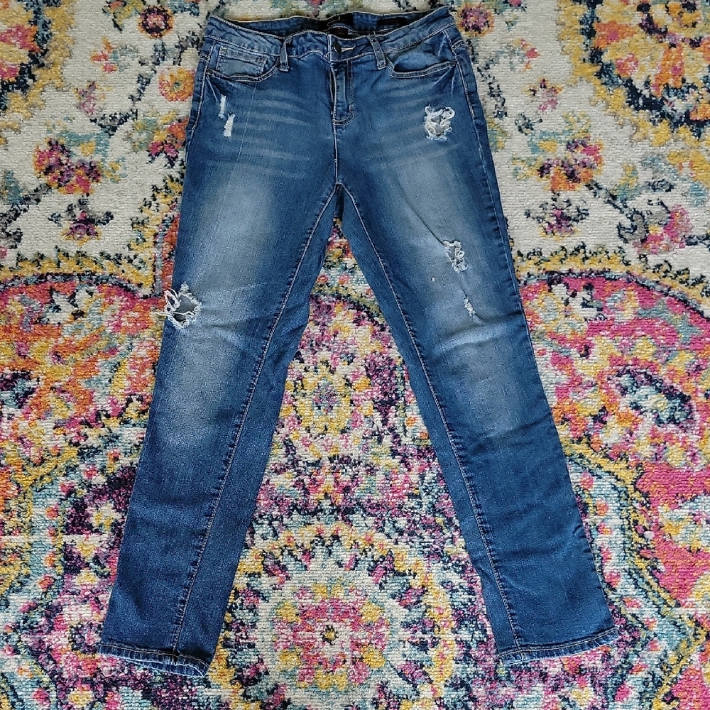 Earl Jeans Blue Skinny Distressed Denim